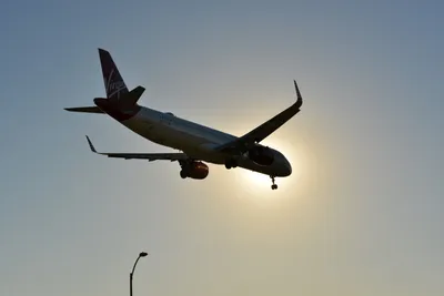 DSC_5695 (Large).JPG